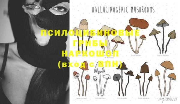 ПСИЛОЦИБИНОВЫЕ ГРИБЫ Россошь