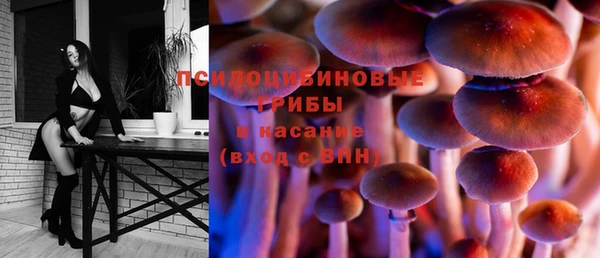 мдпв Балахна